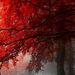 Profile Picture of Paul John Duma (@pjduma) on Pinterest