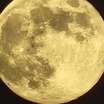 Profile Picture of Alexander Stoddard (@Alexander-Stoddard) on Facebook