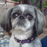 Profile Picture of Nellie Cordova (@nellie-cordova-1) on Quora