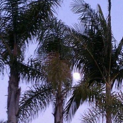 Profile Picture of James Bartnick (@jamesbartnick) on Twitter