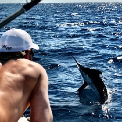 Profile Picture of Travis Aldridge (@@tjaldridge6) on Twitter