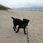 Profile Picture of Jim Knowles (@jim_knowles741) on Instagram