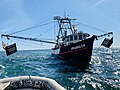 Profile Picture of Shrimp fisheryon Wikipedia