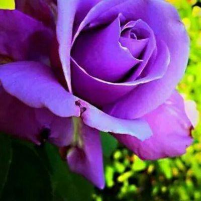 Profile Picture of Celia Martel Mayor (@CeliaMartel56) on Twitter