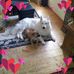 Profile Picture of Ralf Pohl (@ralf.pohl.359) on Facebook