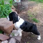 Profile Picture of Janet L Laskowski (@janet.laskowski.9) on Facebook