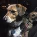 Profile Picture of Kevin Corcoran (@kevin.corcoran.50309) on Facebook