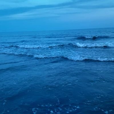 Profile Picture of Roberta Phillips (@Roberta05727358) on Twitter