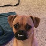 Profile Picture of Stacey Helms (@stacey_helms) on Instagram