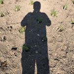 Profile Picture of Peter Westermeier (@peter.westermeier) on Instagram