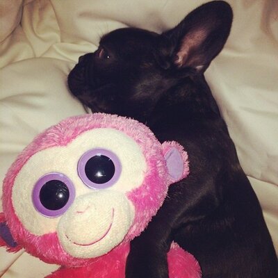 Profile Picture of Peter (@PietroSessa) on Twitter