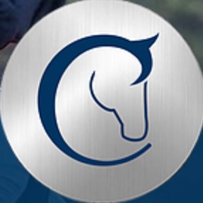 Profile Picture of Chris Rutten Bloodstock (@BloodstockCr) on Twitter