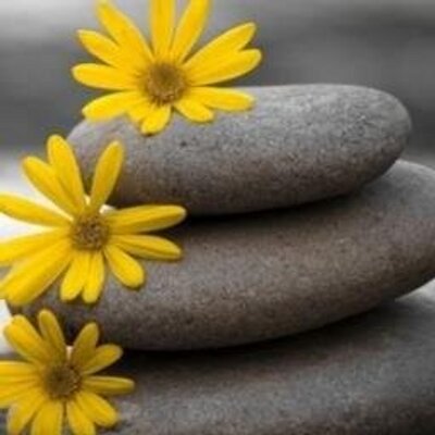 Jodi Reilly Ross - Twitter Profile Picture of Jodi Reilly Ross (@JodiRoss) on Twitter