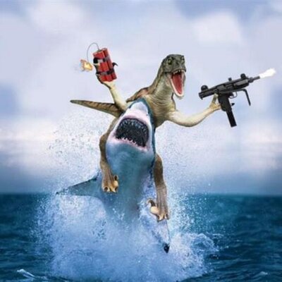 Profile Picture of Bob Willis (@bob_willis1) on Twitter