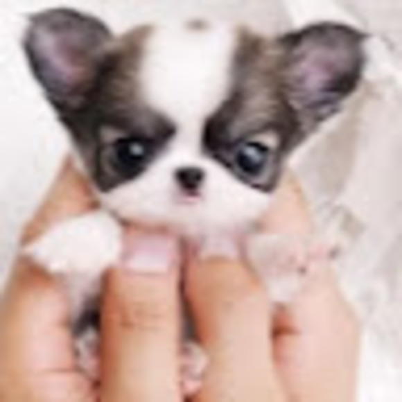 Profile Picture of Madison Nostrom (@madisonnostrom) on Poshmark