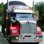 Profile Picture of Nicolas Bocanegra (@nicolipizano) on Instagram