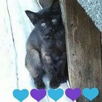 Profile Picture of Brenda Landeros (@brenda-landeros-2) on Quora