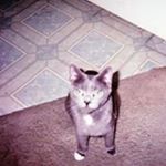 Profile Picture of David Devilbiss (@devilbissdavid) on Instagram