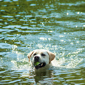 Profile Picture of Tony Prince (@tonyprince9816) on Youtube