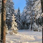 Profile Picture of Doray (@doraypettit92vg) on Instagram