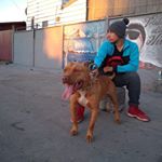Profile Picture of Joel Martinez (@joel_torres_martinez) on Instagram