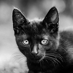 Le Déclic D'un Instant - Flickr Profile Picture of Le Déclic D'un Instant (@paul le moult) on Flickr