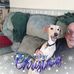 Profile Picture of Richard Wessen (@richard.wessen) on Facebook