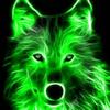 Profile Picture of Johnathon Keller39 (@@pugmaster1794) on Tiktok