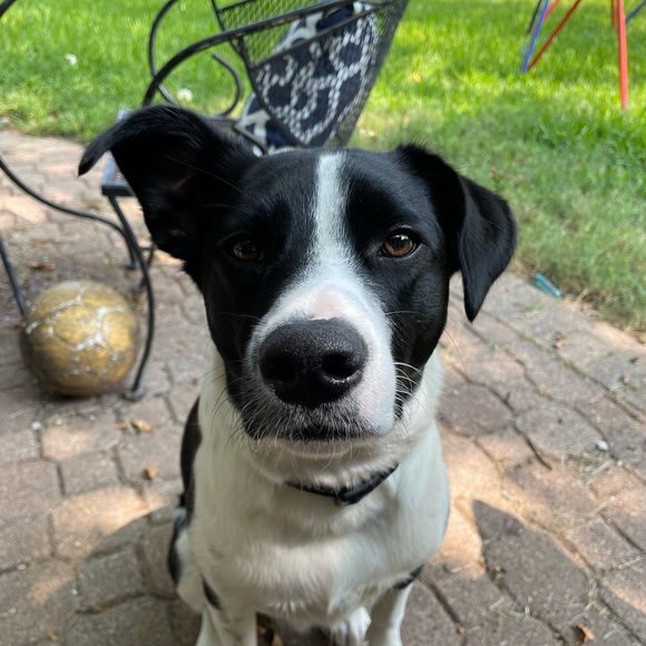 Profile Picture of John Cook (@johnc7421) on Poshmark