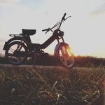 Profile Picture of Benjamin Schenker (@13beni09) on Instagram
