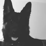 Profile Picture of Chris Watson Prentiss (@_celtic_princess) on Instagram