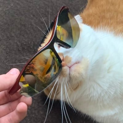 Profile Picture of Rolland McKibben (@KingMuffinMan69) on Twitter