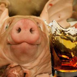 Profile Picture of Eric Coley (@Pigs_N_Whiskey) on Twitter