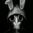 Profile Picture of   ☆ GANGSTER ☆ (@koussay509)... (@koussay509) on Tiktok