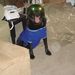 Profile Picture of Pamela Yokley (@pyokley63) on Pinterest