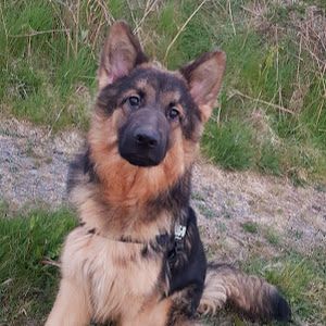 Profile Picture of Paula Ferguson (@@paulaferguson) on Tiktok