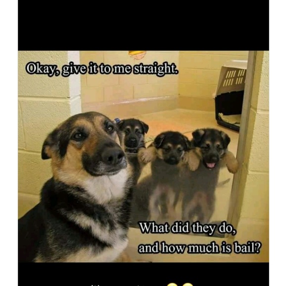 Profile Picture of Tyler Frickey (@tfrick73) on Poshmark