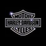 Profile Picture of Bryan Kalbfleisch (@bryankalbfleisch) on Instagram