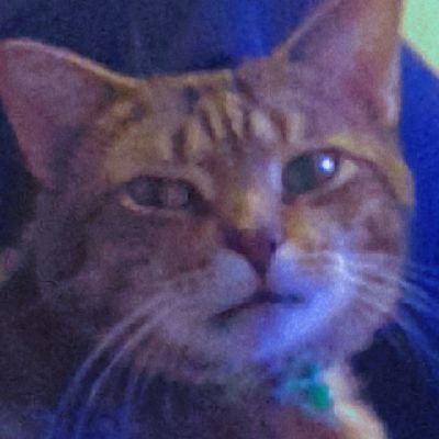 Profile Picture of Mia Singleton (@theMiasingoo) on Twitter