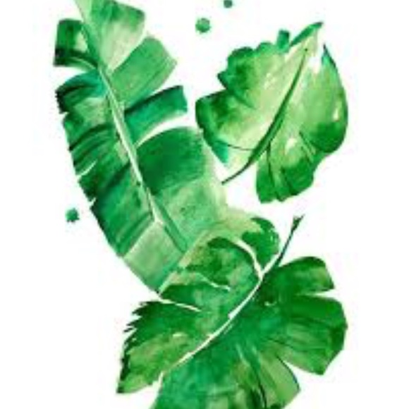 Profile Picture of Olivia Macaruso (@oliviamacaruso) on Poshmark