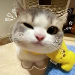 Profile Picture of John Dave Lanza (@johndave.lanza) on Facebook