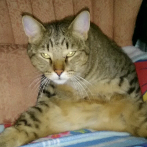 Lucy Abbott - Poshmark Profile Picture of Lucy Abbott (@exangelia) on Poshmark