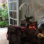 Profile Picture of Trudy Watson (@trudy_watson_) on Instagram
