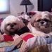 Profile Picture of Maureen Weiner (@maureen.weiner.1) on Facebook