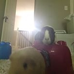 Profile Picture of Lemon And Ruby (@guinea.pig.family) on Instagram