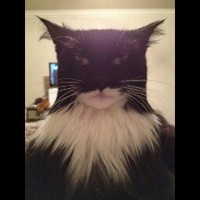 Profile Picture of Alex Sutliff (@alex-sutliff-2) on Quora