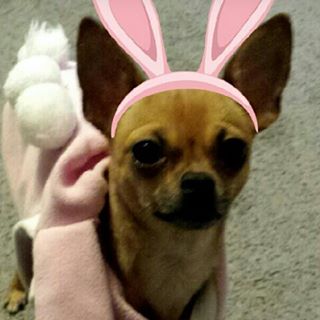 Profile Picture of Yolanda Riddle (@yolanda.riddle.37) on Facebook
