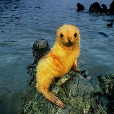 Profile Picture of Gary Mcgirr (@mcgirr_gary) on Twitter