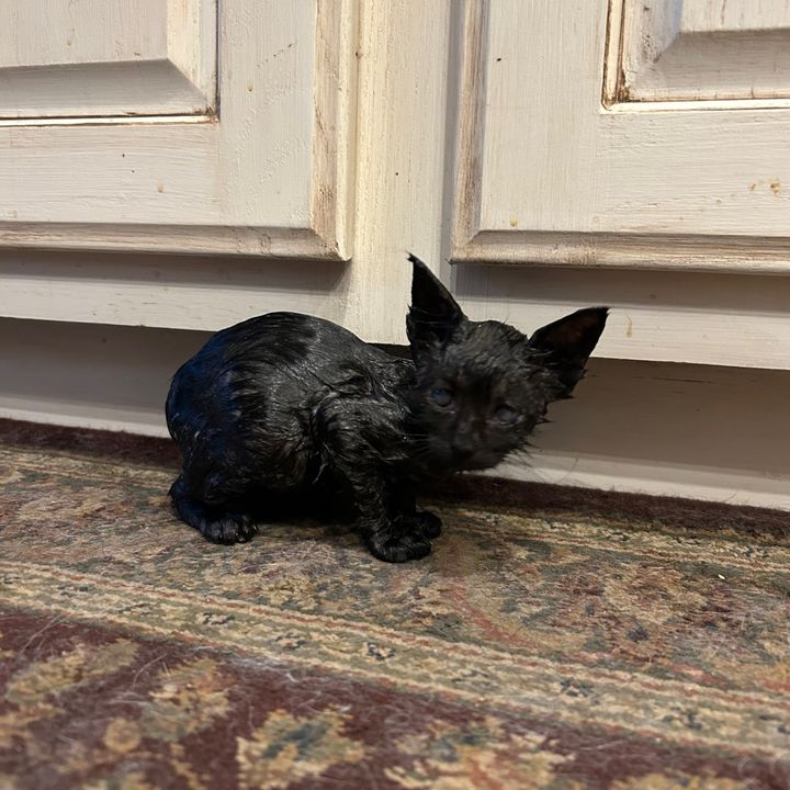 Profile Picture of Quinn (@quinnster_) on Tiktok