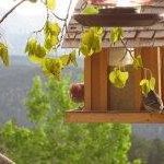 Joyce Spangler - Instagram Profile Picture of Joyce Spangler (@spanglerjoyce) on Instagram